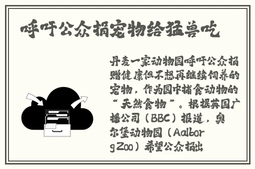 金门瓶4